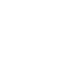 Audio icon