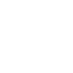 Audio icon