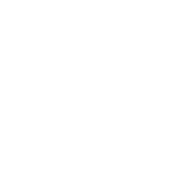 Audio icon